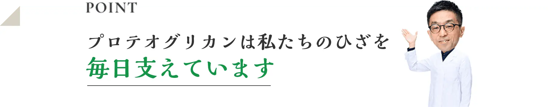 POINT プロテオグリカンは私たちのひざを毎日支えています