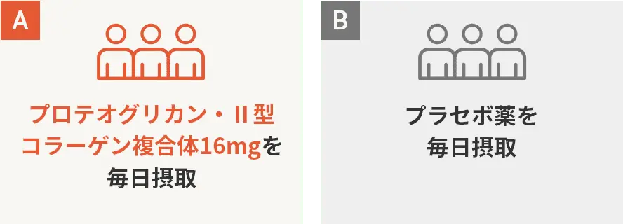 A プロテオグリカン・Ⅱ型コラーゲン複合体16mgを毎日摂取 B プラセボ薬を毎日摂取