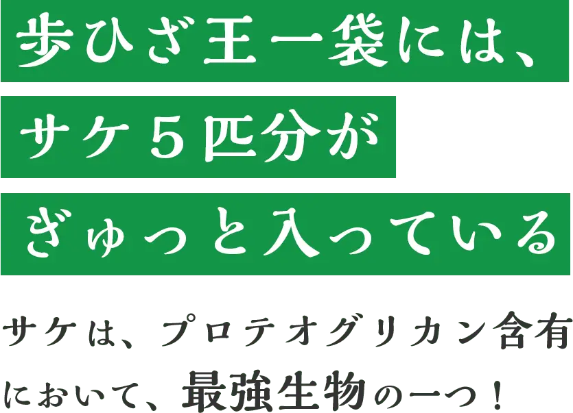 歩ひざ王 一袋には、サケ５匹分がぎゅっと入っている サケは、プロテオグリカン含有において、最強生物の一つ！