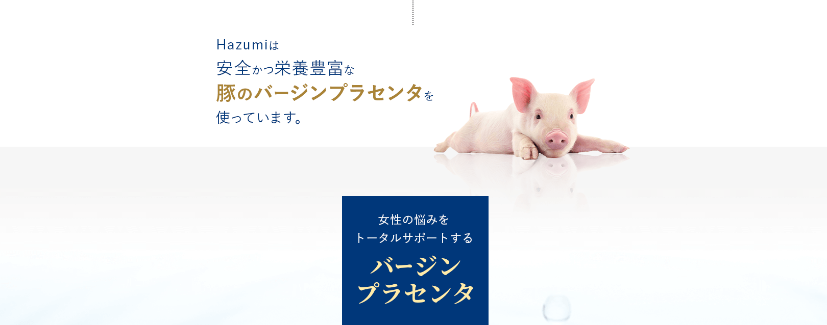 Hazumiは安全かつ栄養豊富な豚のバージンプラセンタを使っています。
