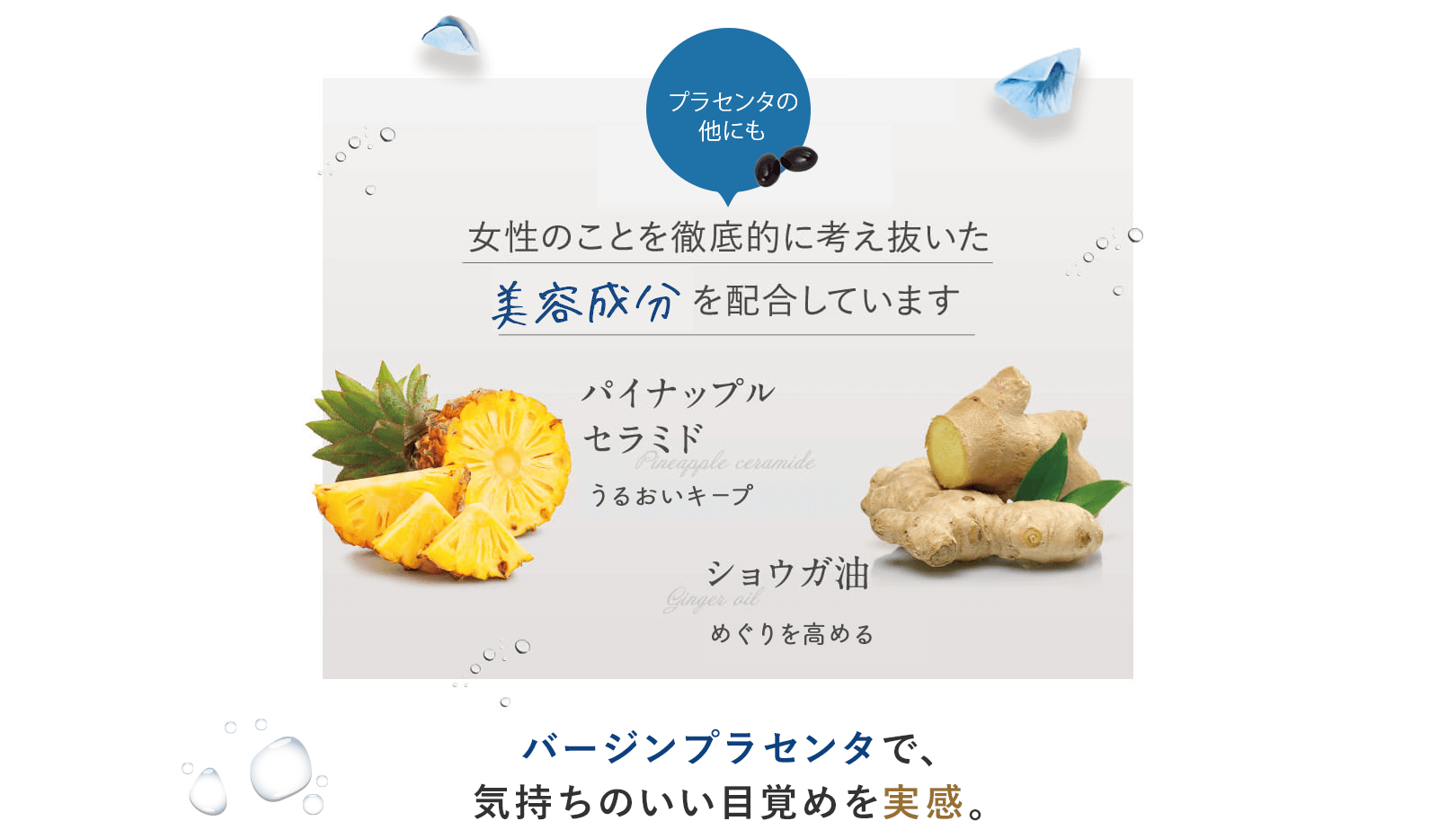 プラセンタの他にも、女性のことを徹底的に考え抜いた美容成分を配合しています