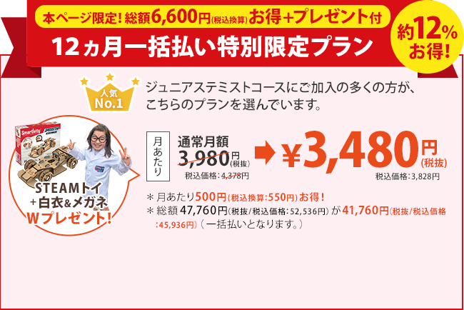 お得な12ヵ月一括払いプラン￥42,029円(税抜)