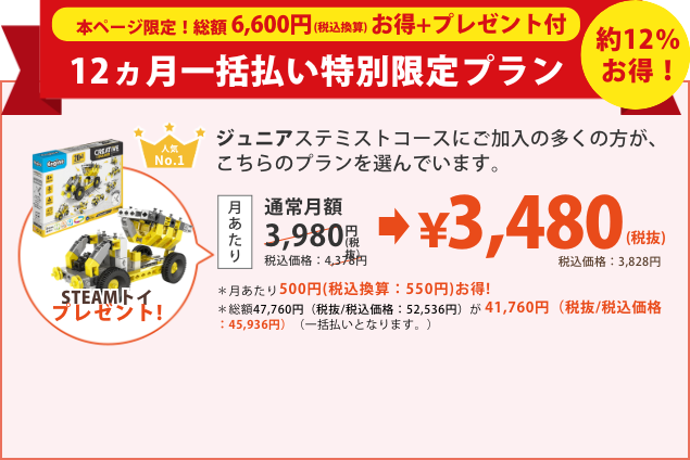 お得な12ヵ月一括払いプラン￥42,029円(税抜)
