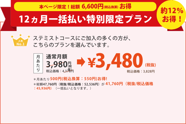 お得な12ヵ月一括払いプラン￥42,029円(税抜)