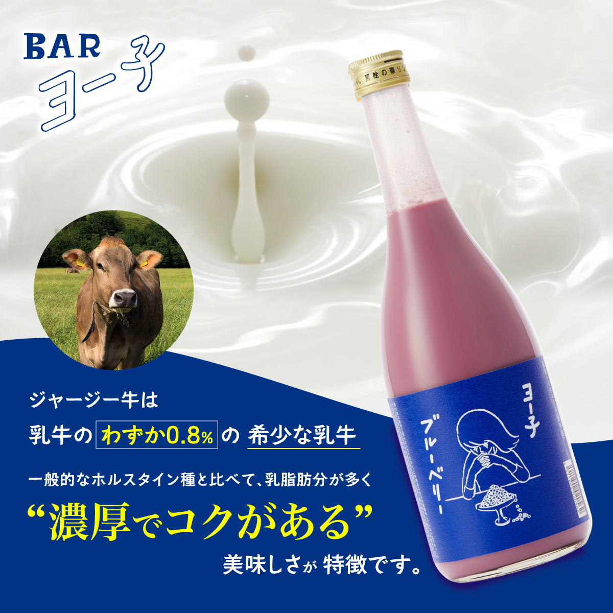 BARヨー子 × YouTuber ほっちゃんさん セレクトセット ｜ 送料・クール便代無料