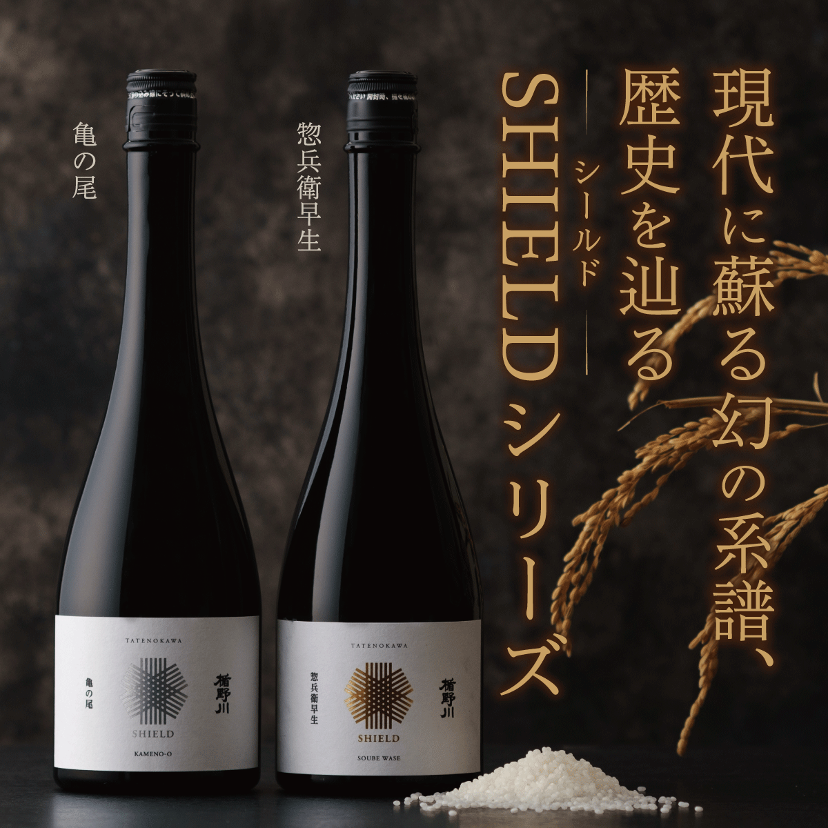 【※10/16以降出荷】 SHIELD 亀の尾 純米大吟醸 720ml 【楯の川酒造公式】 包装: 無し