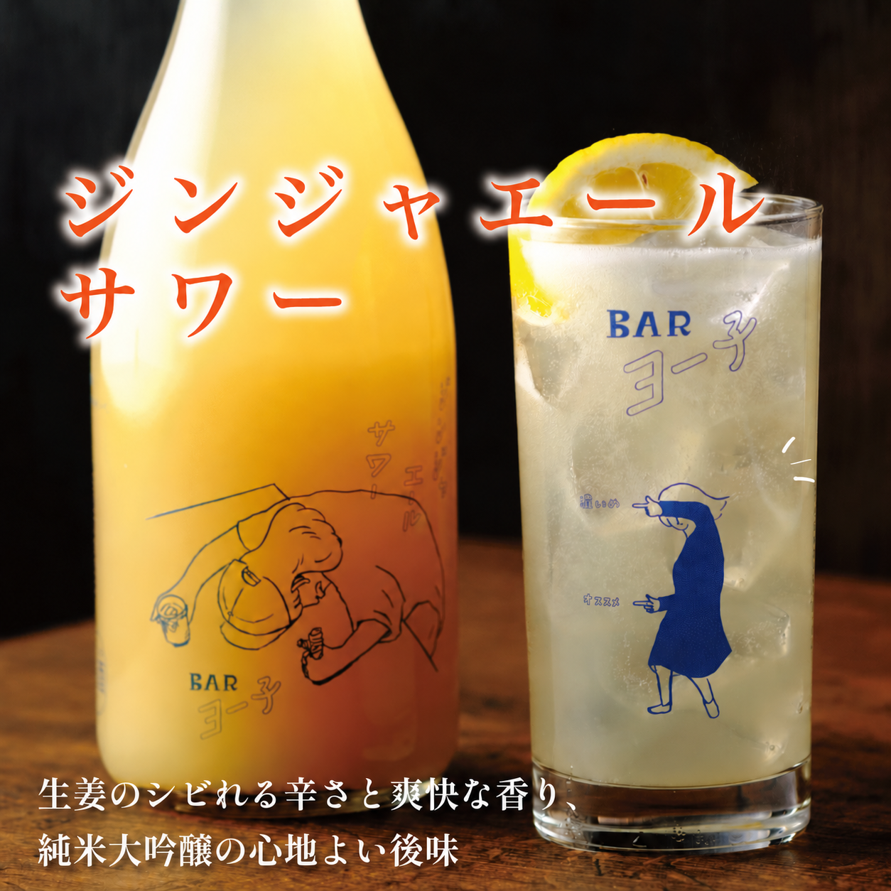 BARヨー子 × YouTuber ほっちゃんさん セレクトセット ｜ 送料・クール便代無料