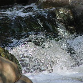 鳥海山の清らかな水の流れ
