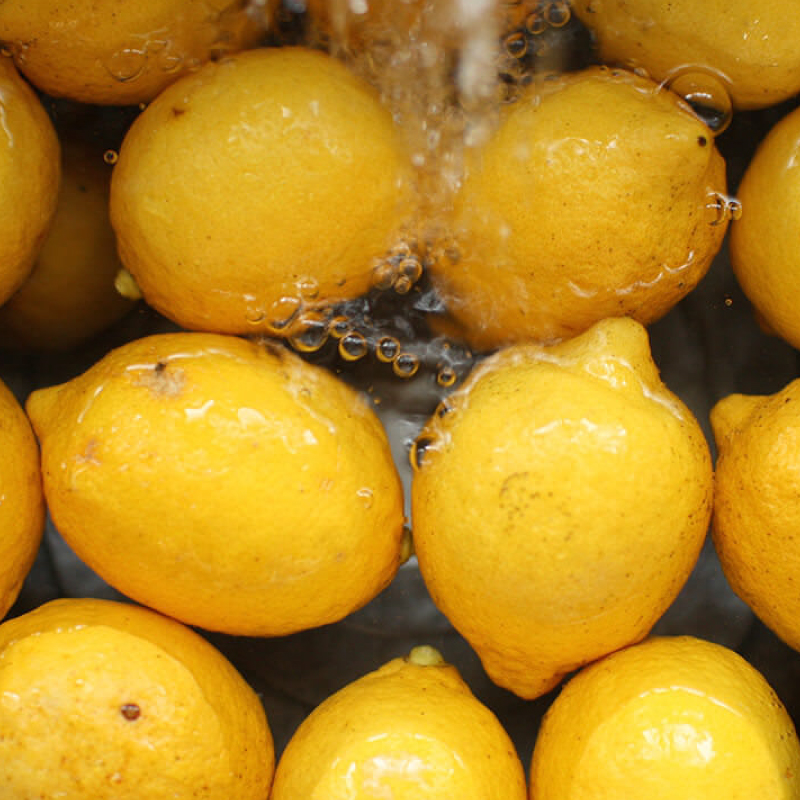 citrusfarms たてみち屋さんの瀬戸内レモン