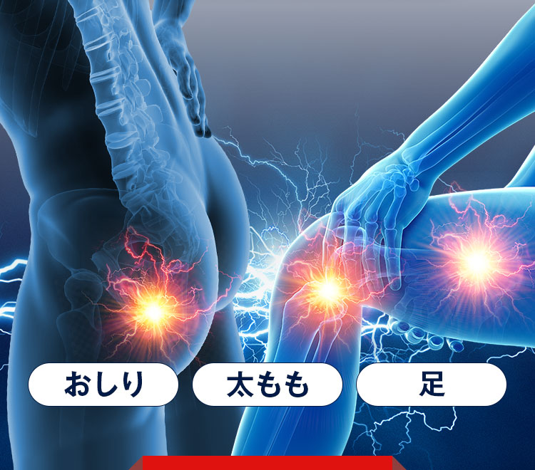 おしり、太もも、足