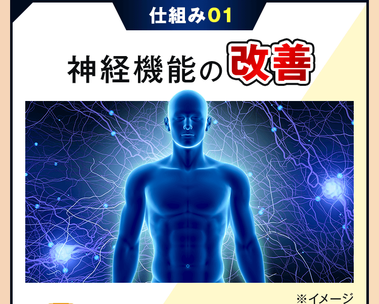 神経機能の改善