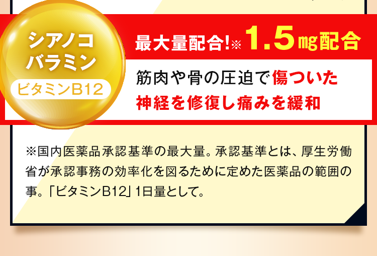 筋肉や骨の圧迫で傷ついた神経を修復し痛みを緩和