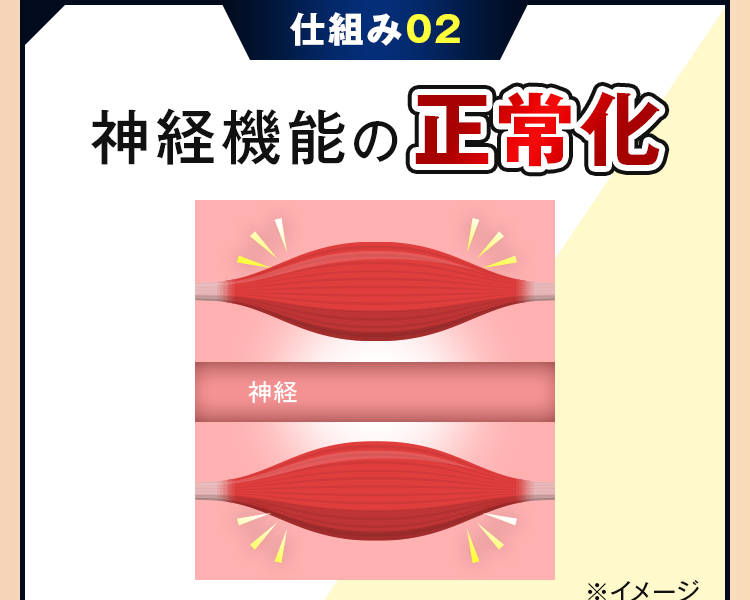 神経機能の正常化