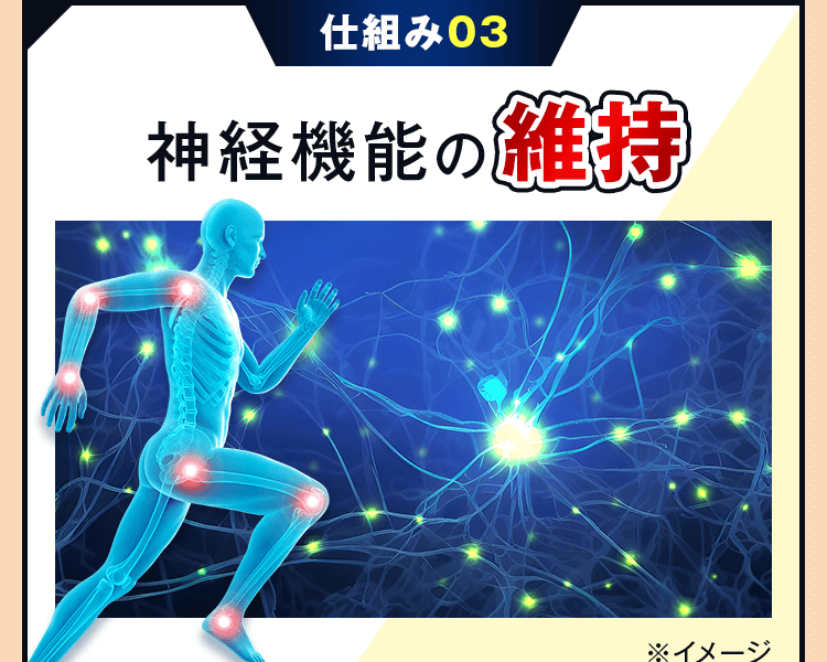 神経機能の維持