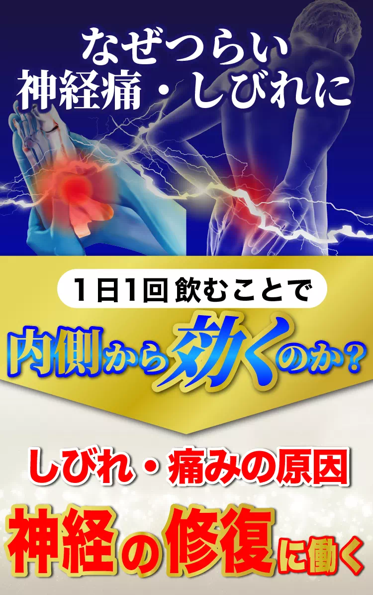 なぜつらい神経痛・しびれに1日1回飲むことで内側から効くのか しびれ・痛みの原因神経の修復に働く