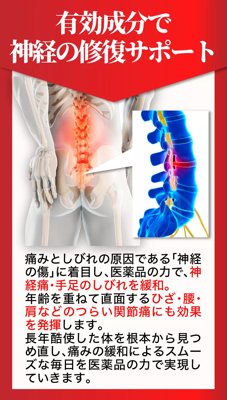 有効成分で神経の修復サポート