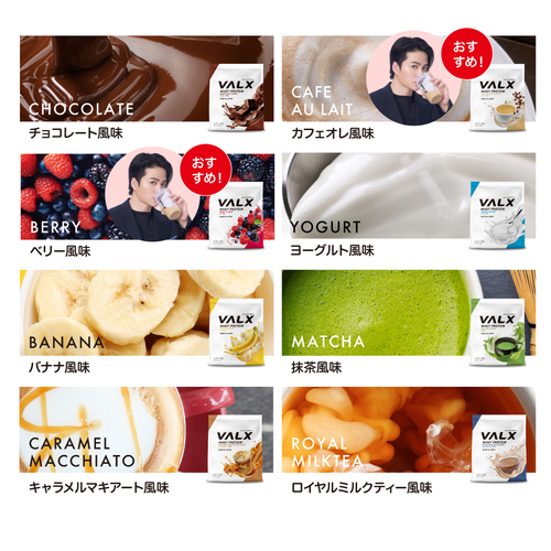 ホエイプロテイン（WPC） 1kg チョコレート風味