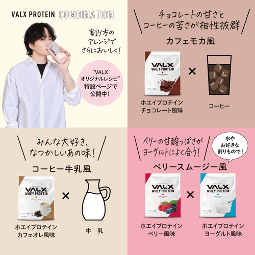 ホエイプロテイン（WPC） 1kg チョコレート風味