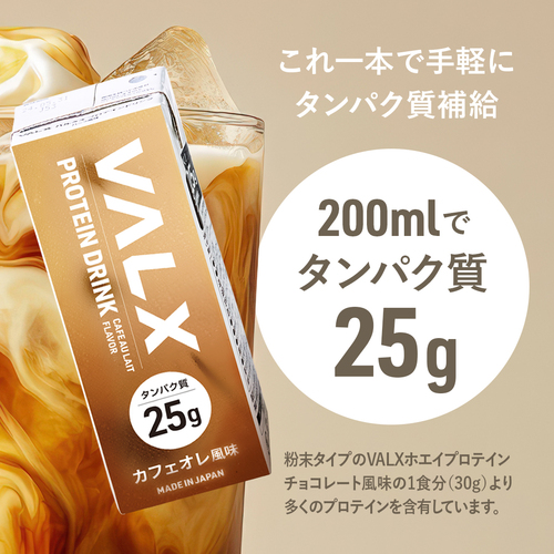 valx ホエイプロテイン(☆さん専用2/18まで) プロテインドリンク 24本入 | VALXメンバーズストア