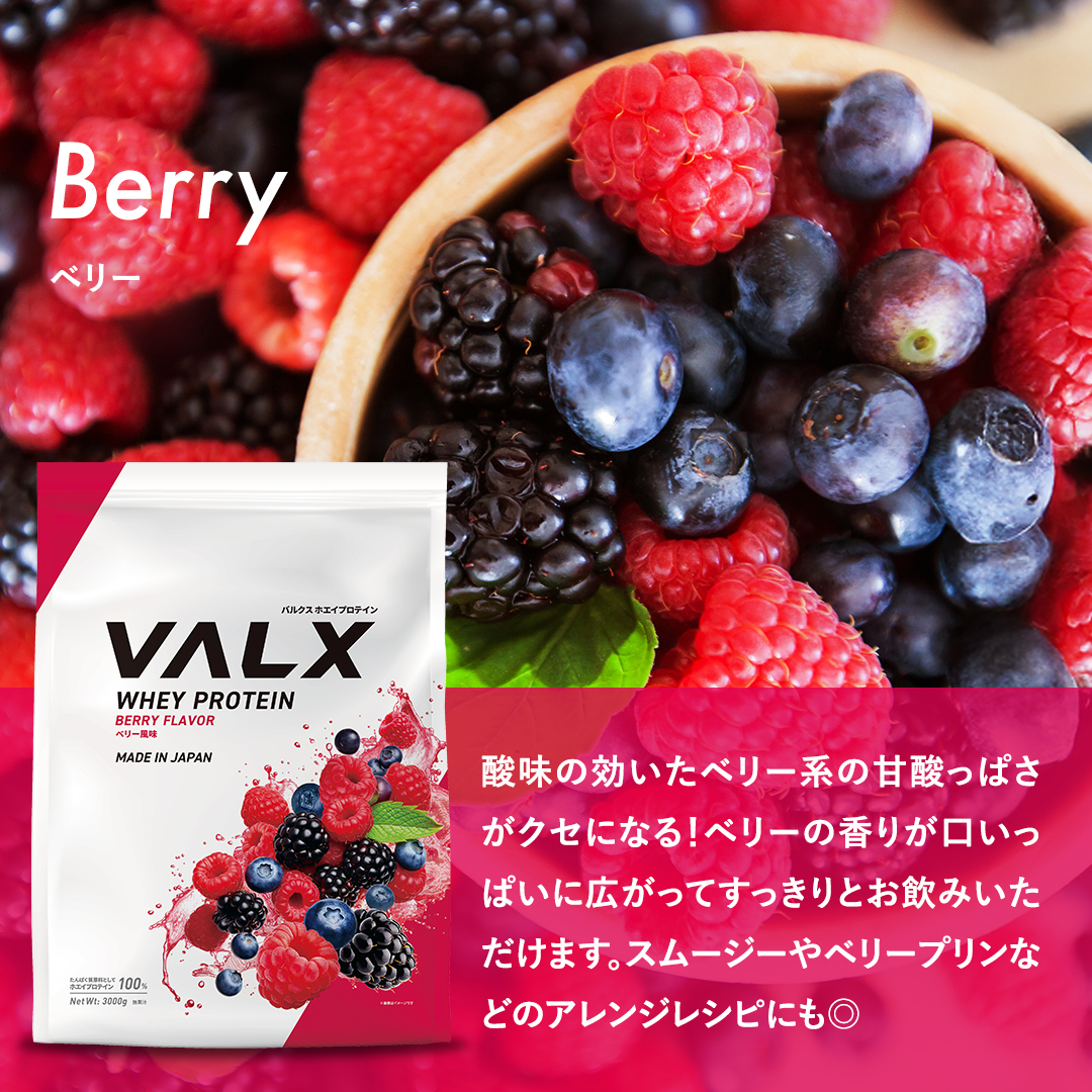 ホエイプロテイン(WPC) 3kg チョコレート風味