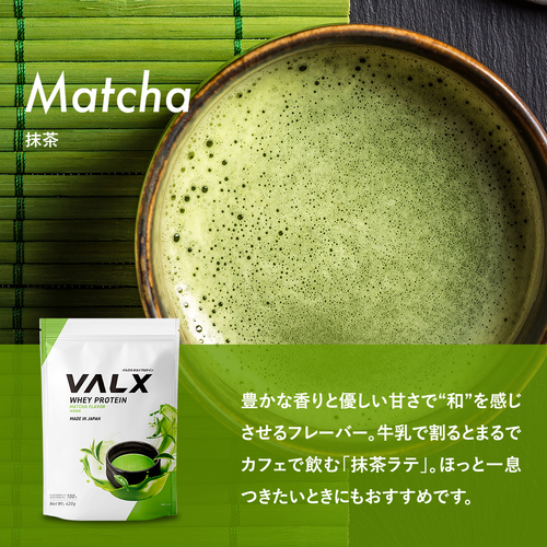 ホエイプロテイン（WPC） 420g チョコレート風味