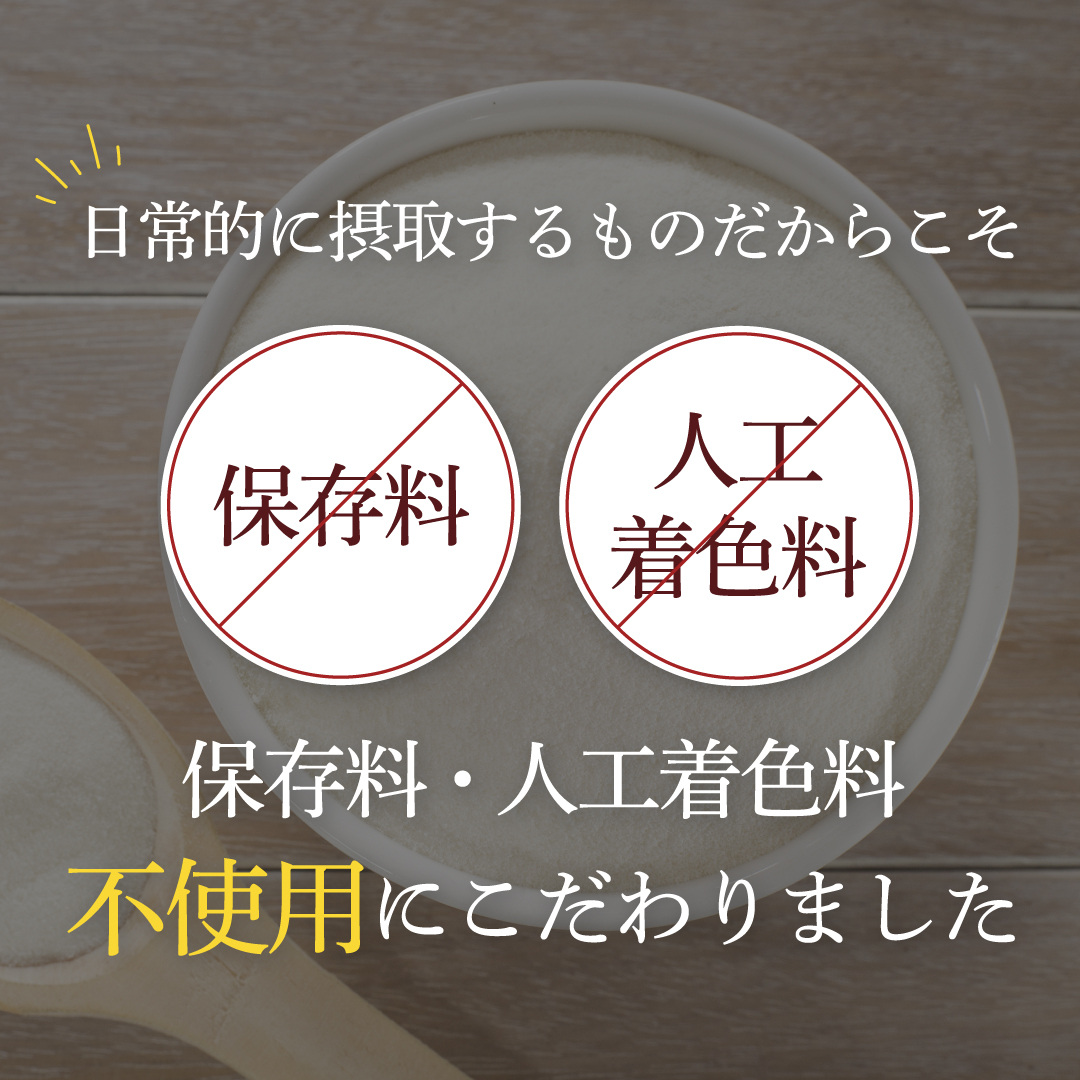 ソイプロテイン 1kg チョコレート風味