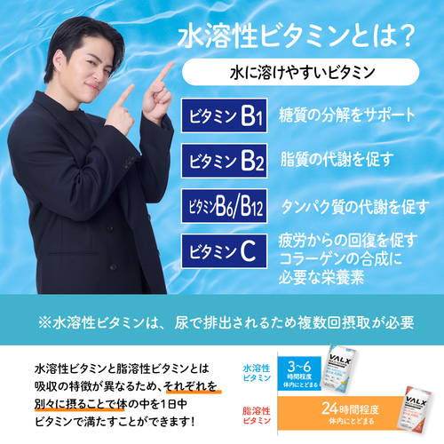 ホエイプロテイン（WPC） 1kg+ビタミン2種セット チョコレート風味