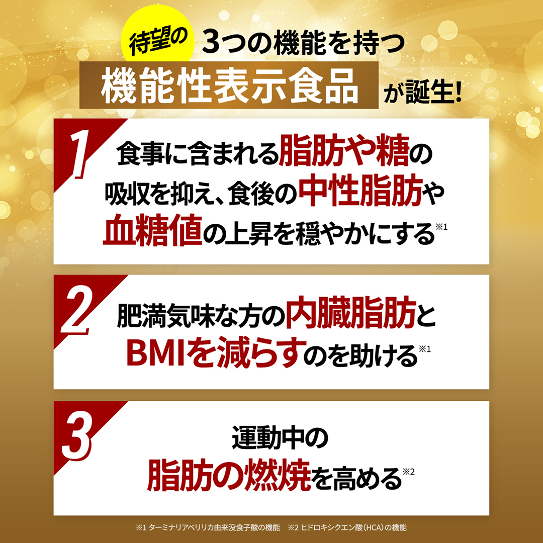 レッドギア+ナクセルセット