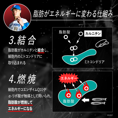 レッドギア 42粒 | プロテイン・サプリ（クレアチン、EAA）ならVALX