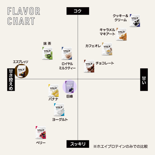 ホエイプロテイン（WPC）600g  巨峰風味