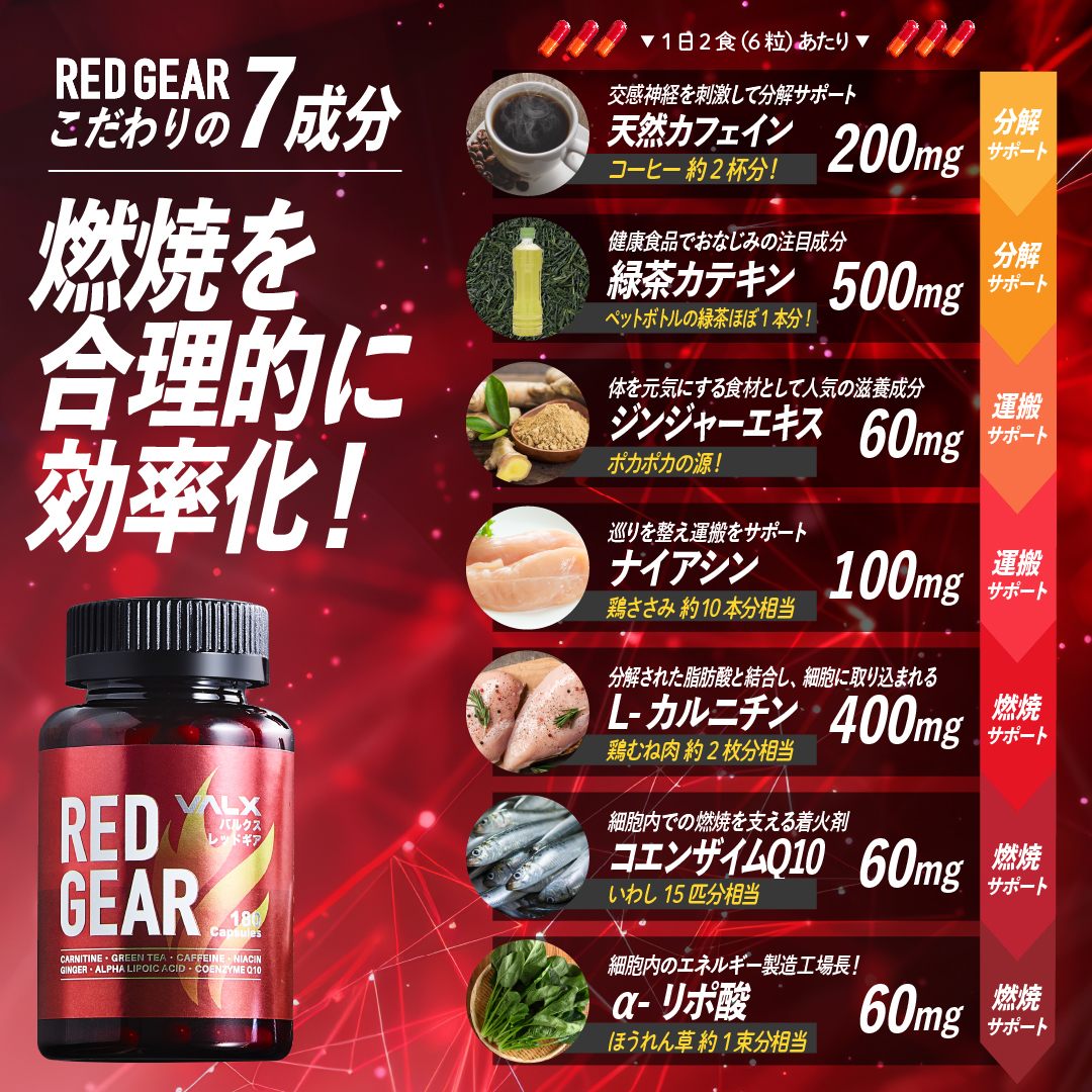 【キャンペーン】REDGEAR（レッドギア）