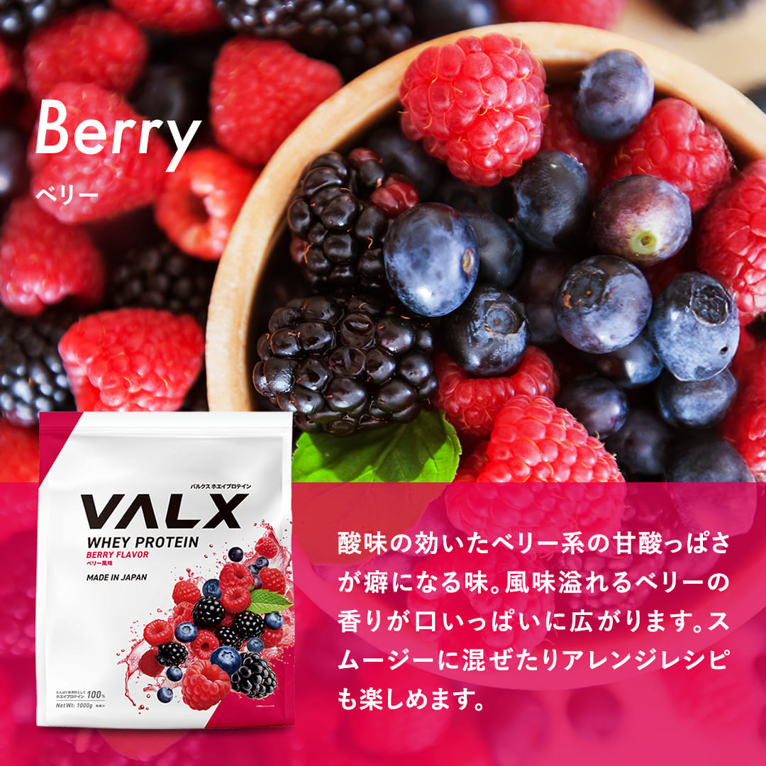 WPCホエイプロテイン 1kg+ビタミンD亜鉛セット チョコレート風味