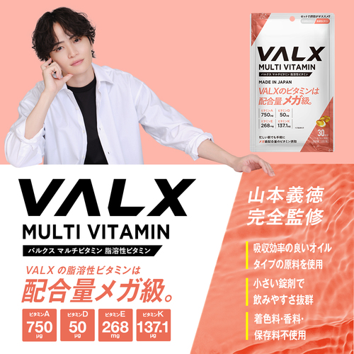 ホエイプロテイン（WPC） 1kg+ビタミン2種セット チョコレート風味