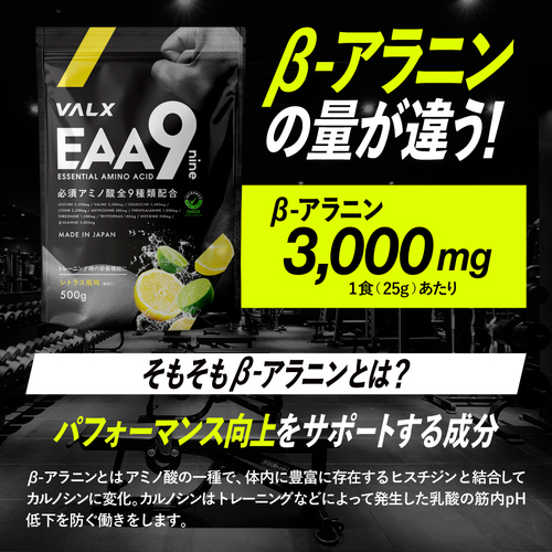 値下げ中】VALX EAA9 Produced by 山本義徳 シトラス風味