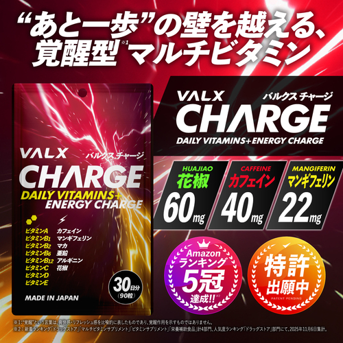 VALX CHARGE お試し