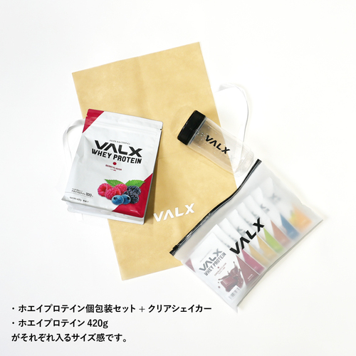 VALX オリジナルギフトバッグ(M) 