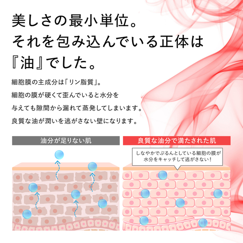 【キャンペーン】クリルオイル