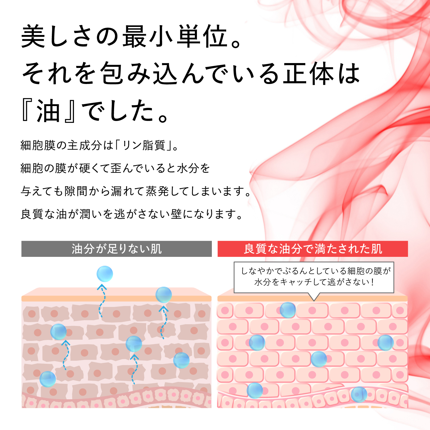 【キャンペーン】クリルオイル