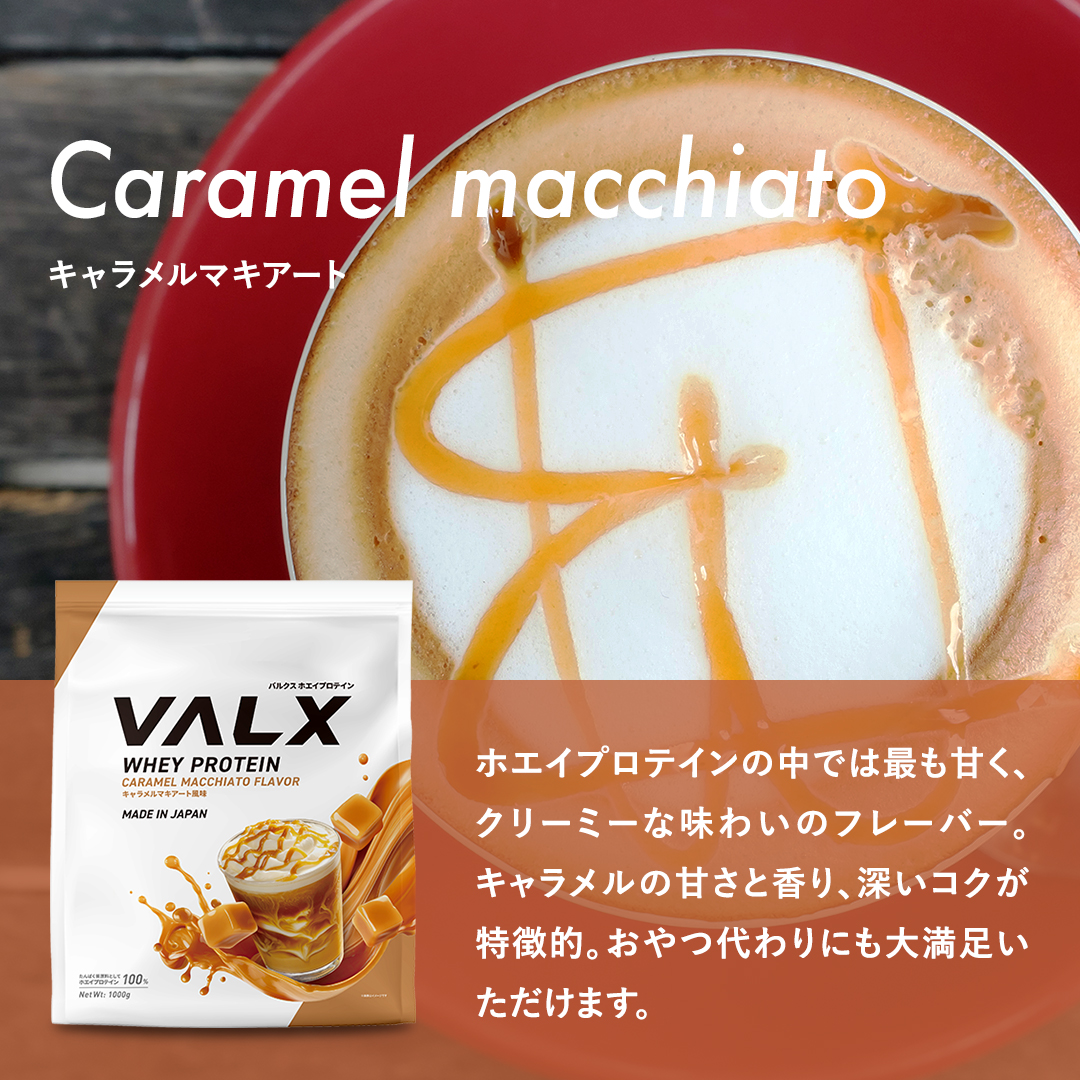 ホエイプロテイン（WPC） 1kg チョコレート風味