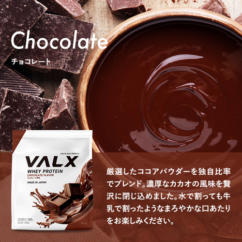 ホエイプロテイン（WPC） 1kg チョコレート風味