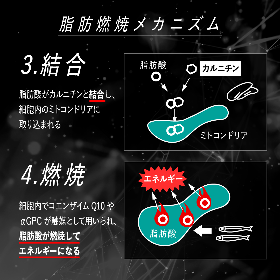 レッドギア+ナクセルセット