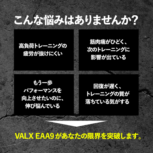 【キャンペーン】EAA9 500g シトラス風味