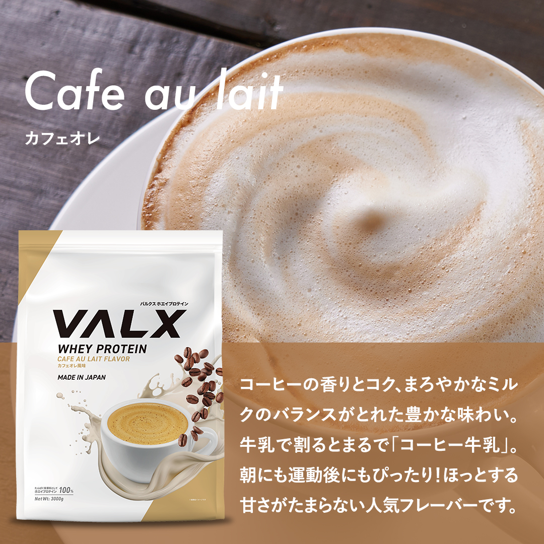 ホエイプロテイン(WPC) 3kg チョコレート風味