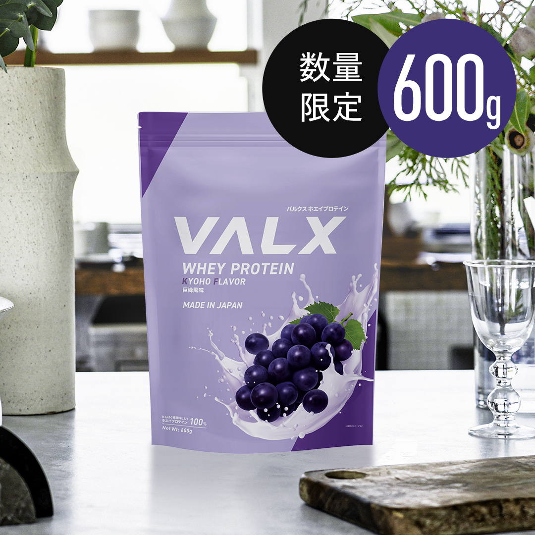 ホエイプロテイン（WPC）600g  マスター