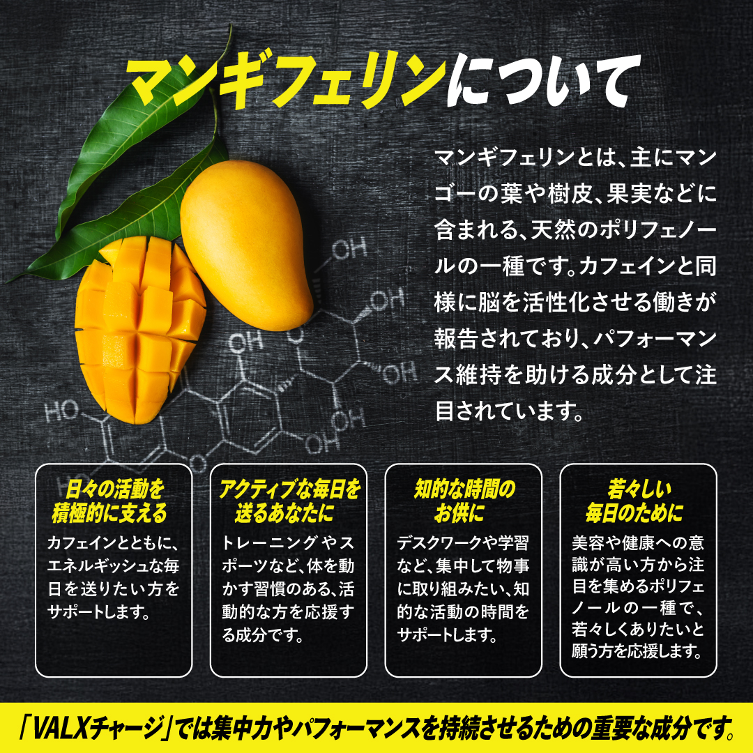 【キャンペーン】VALX CHARGE