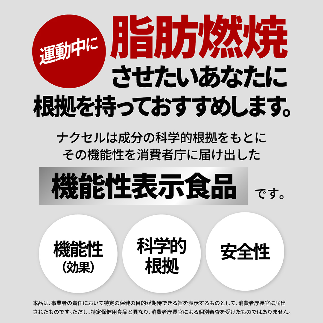 レッドギア+ナクセルセット