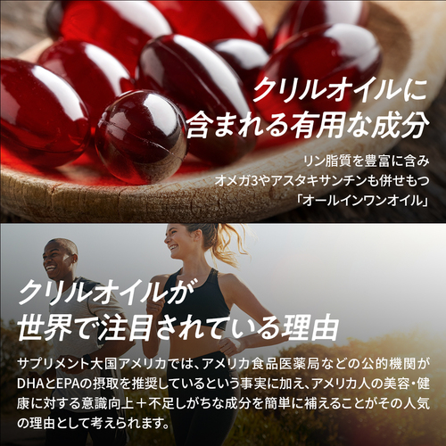 老化は血管から！血管や脳を健やかに保つ！新世代オメガ３【しん健堂　クリルオイル】 サプリ サプリメント 記憶 認知 EPA DHA オメガ3 クリルオイル