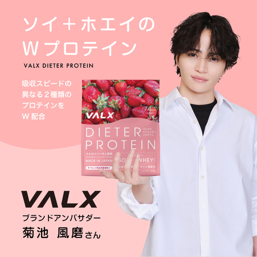 ダイエッタープロテイン 1kg ガトーショコラ風味