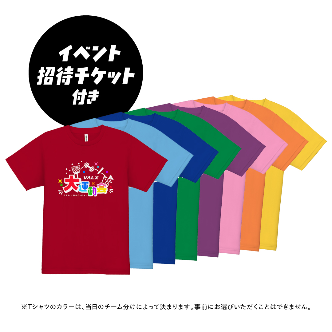 【運動会用】オリジナルＴシャツ マスター