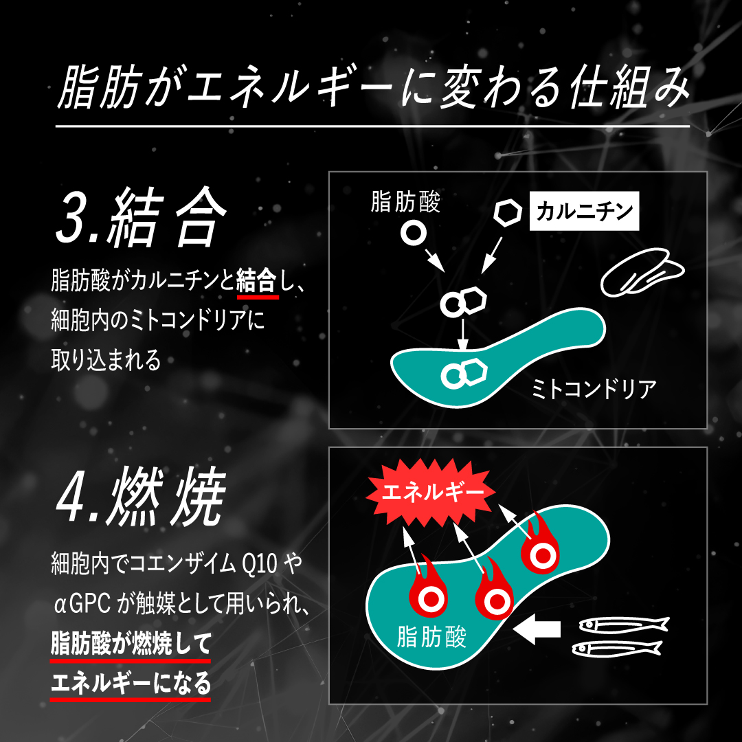 レッドギア+ナクセルセット